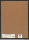 Coscinodiscus heteroporus var. moronensis Grun. (de-Toni-Nr.: Genus 202, Species 5017) Zeichnungen Sammlung Grunow Mappe 04821 (Herbarium_W_Grunow_drawings_Folder_04821)